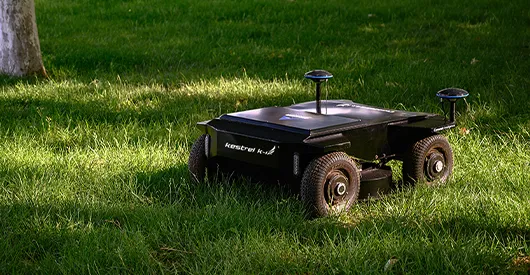 The Ultimate Fall Lawn Care Checklist: Get a Lush, Green Lawn Next Spring!